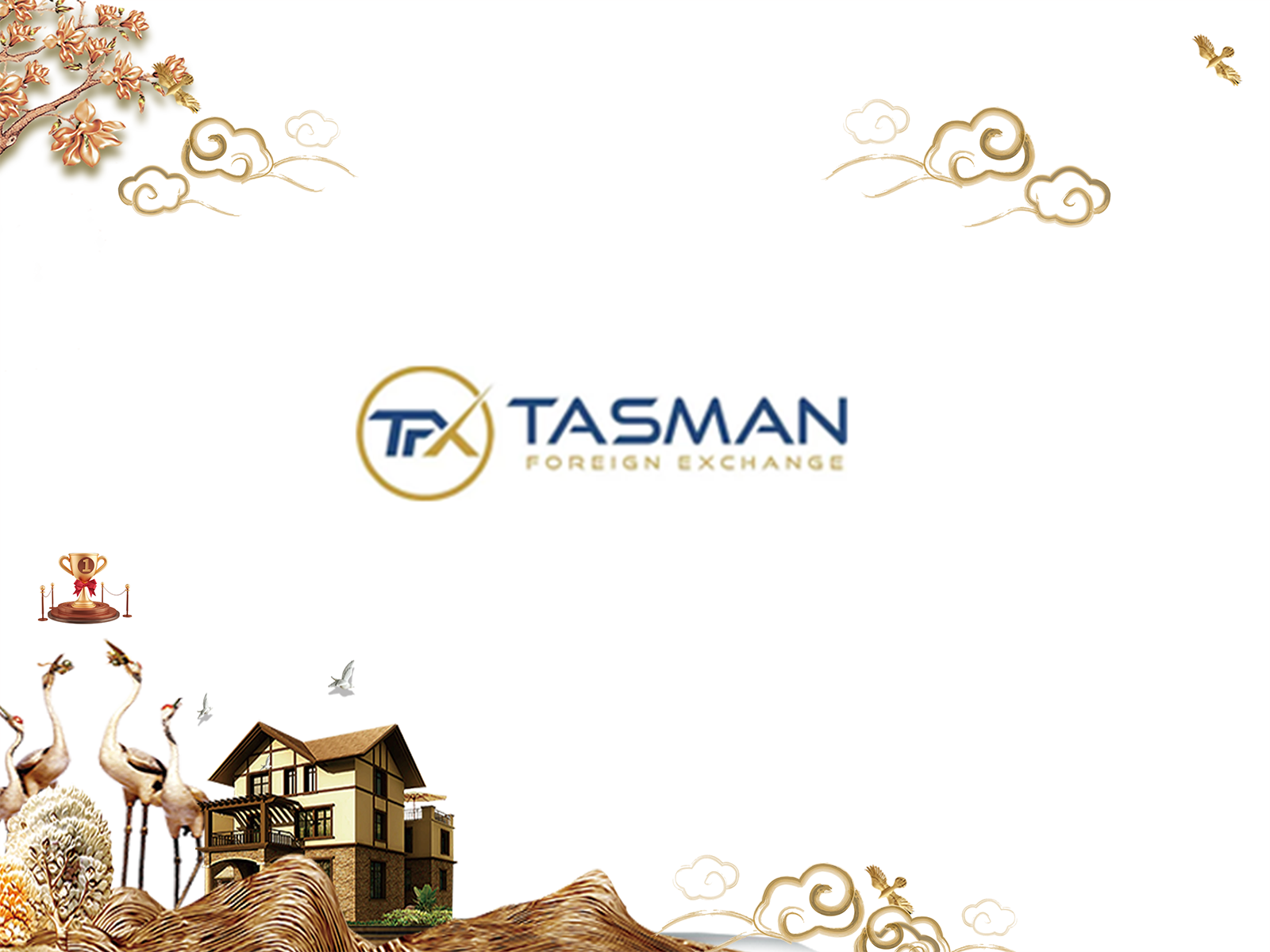 Tasman FX